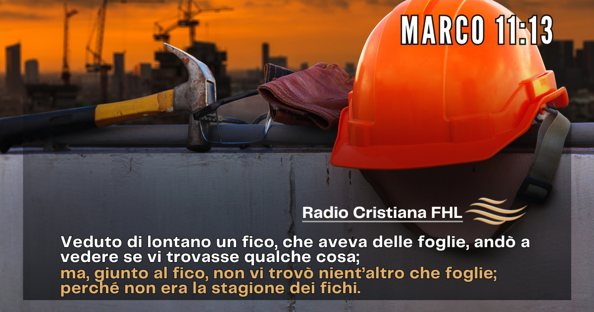 Il fico seccato e la purificazione del tempio: un richiamo a portare frutto.