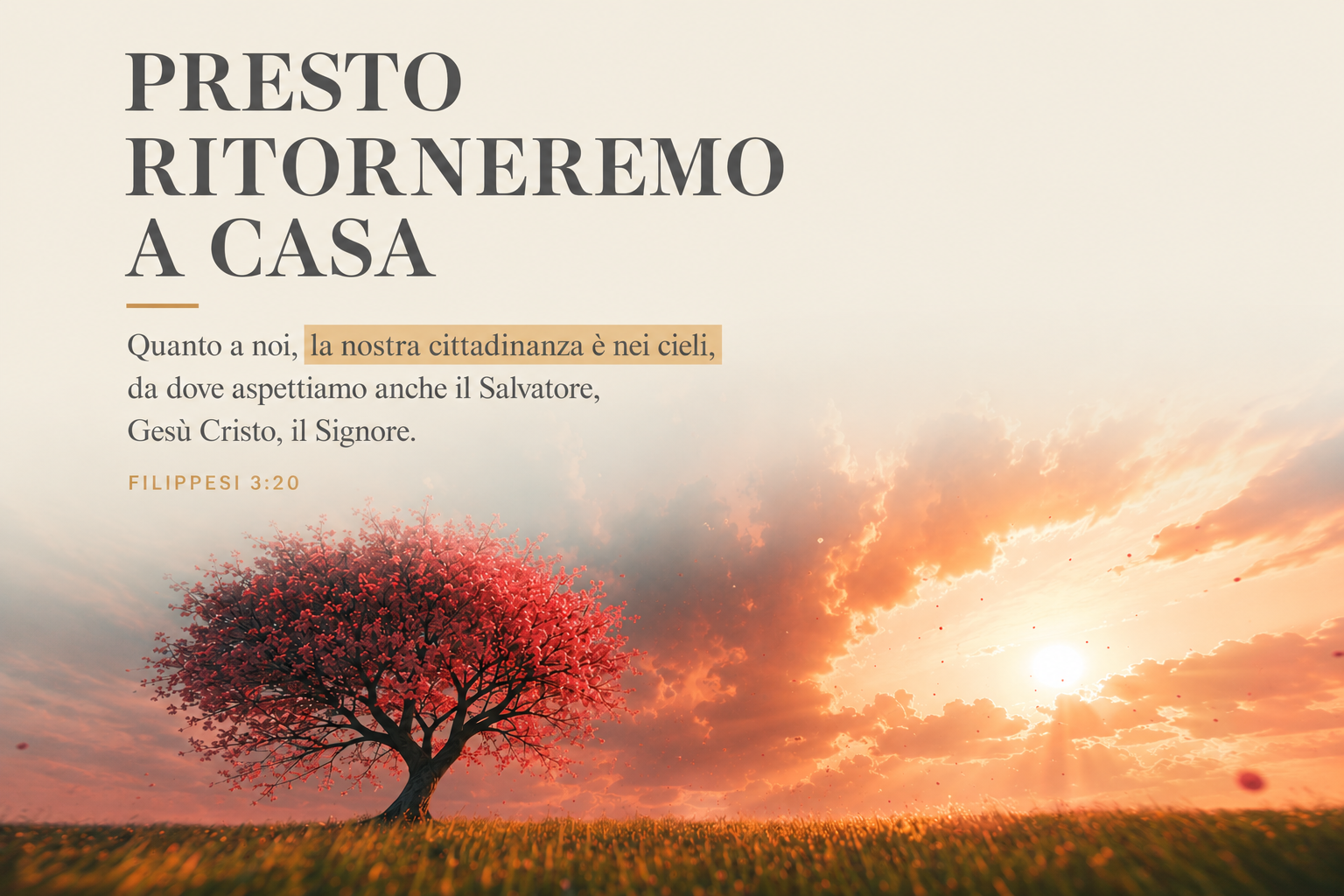 Siamo solo di passaggio: presto torneremo a casa.