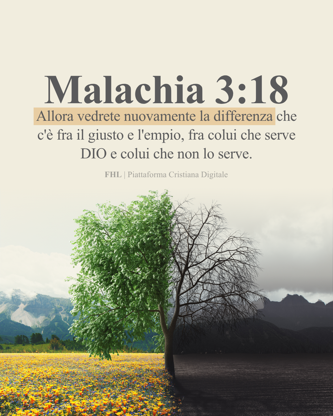 Malachia 3:13-18