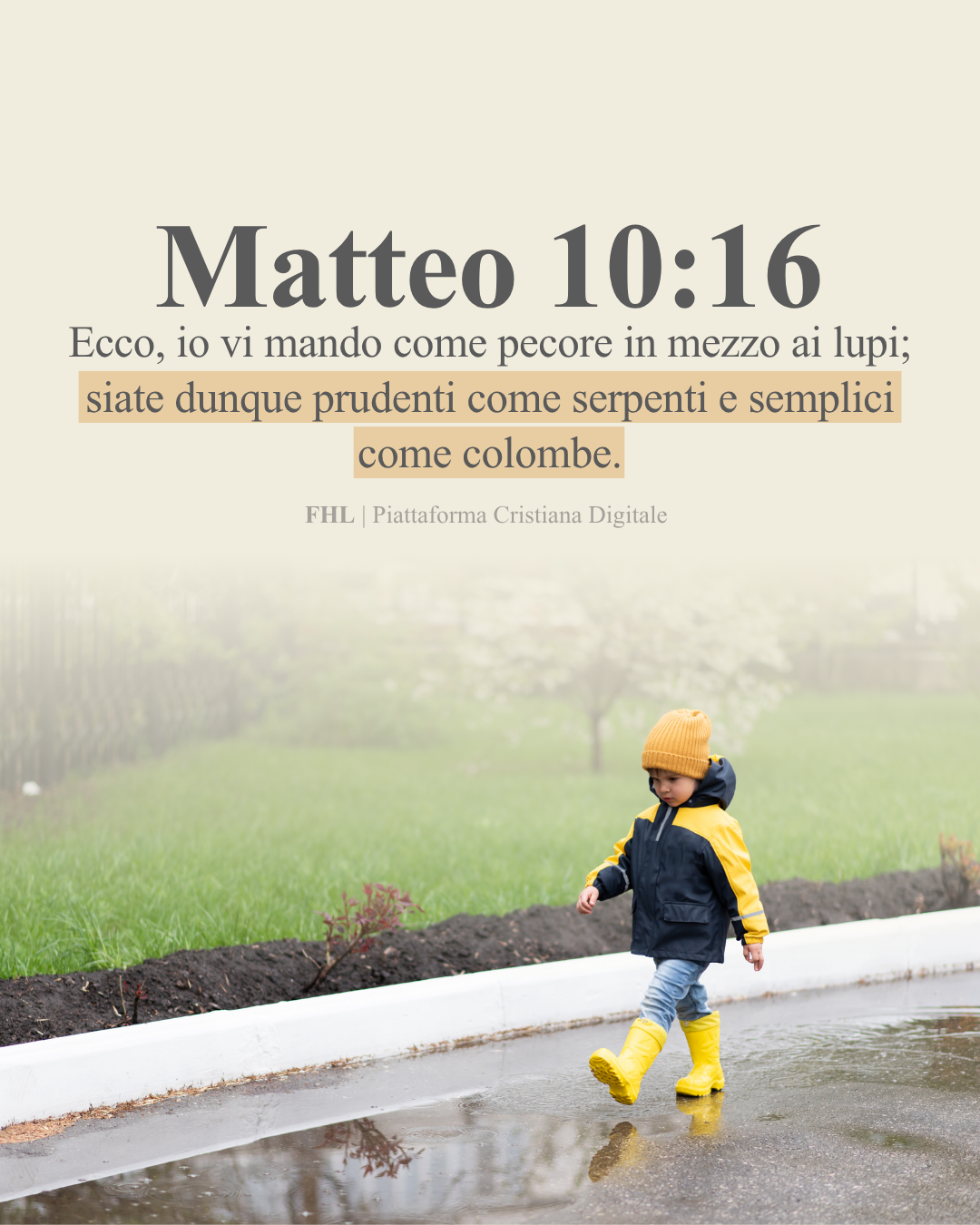 Matteo 10:16-31