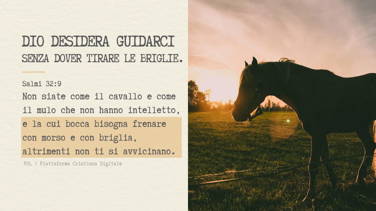 Dio desidera guidarci senza dover tirare le briglie.